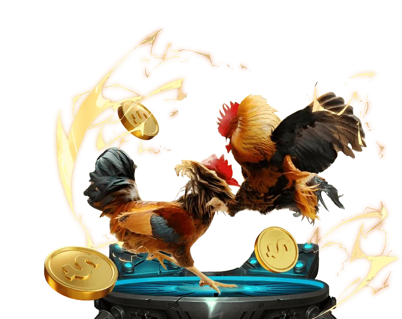 Hình ảnh minh họa các điều khoản và chính sách của vin 55